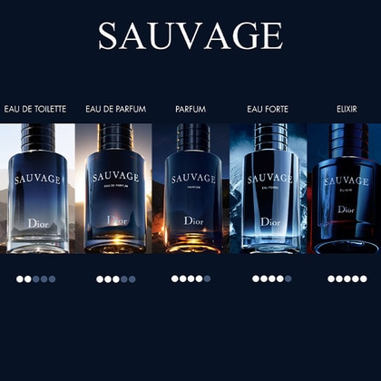 Sauvage Eau de Toilette for Men – 100ml